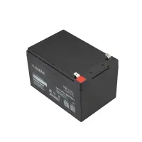 АКБ свинцово-кислотная RAPAN SB 1212 тип AGM 12V 12Ач, ножевые клеммы, Бастион