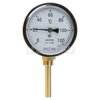 Термометр биметаллический Экомера БТ 1-63, радиальный, Эко-М